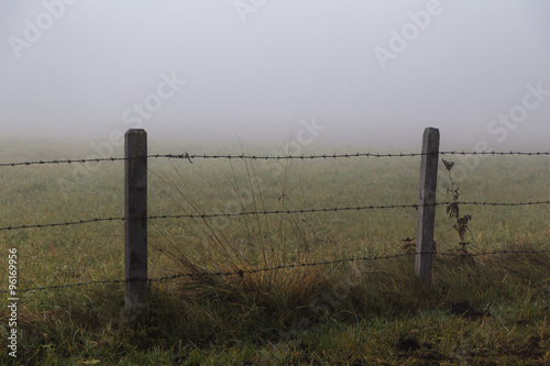 Stacheldrahtzaun im Nebel