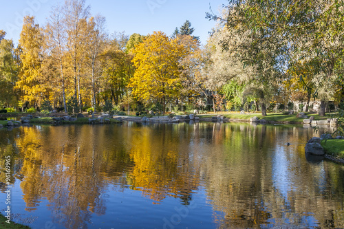 Autumn Reflection On the Pond