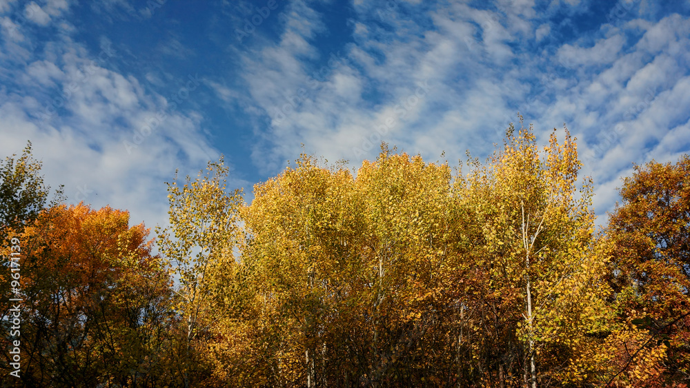 Autumn in Bulgaria