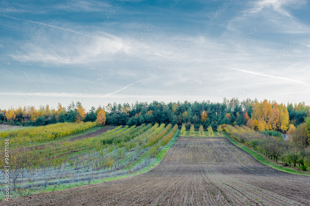 Fototapeta premium Beautiful hilly meadows in autumn colors