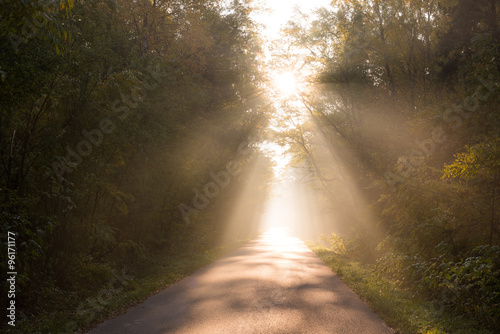 Beam of sun light comming though trees on empty road © JonikFoto.pl