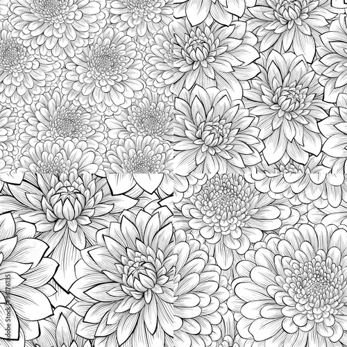 set of beautiful monochrome black and white seamless pattern with flowers.