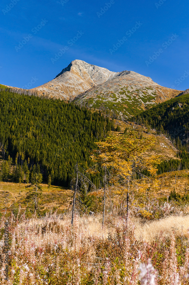 Fototapeta premium mountain Krywań