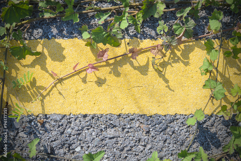 Fototapeta premium the asphalt road with the creeping plant on the yellow line