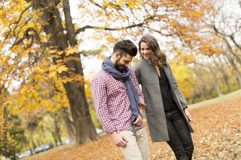 Young couple in the autumn park