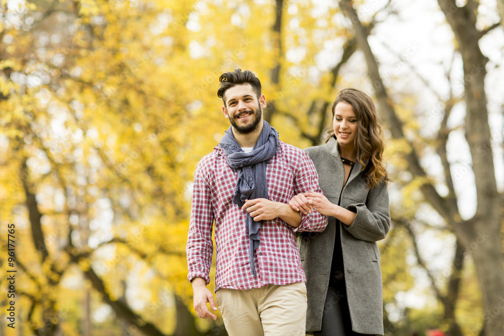 Young couple in the autumn park Young couple in the autumn park
