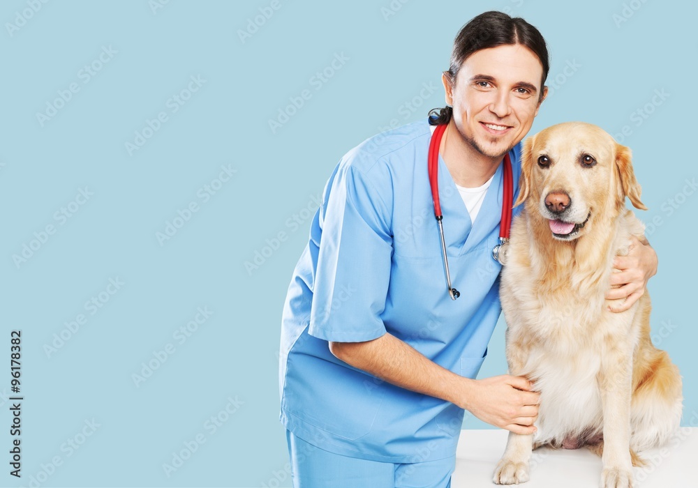 Veterinarian. Veterinarian.