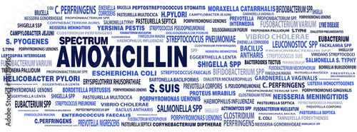 Cloud names of bacteria and microorganisms to amoxicillin / cloud of words and name tags bacteria species and microorganisms that may be treated with the antibiotic amoxicillin photo