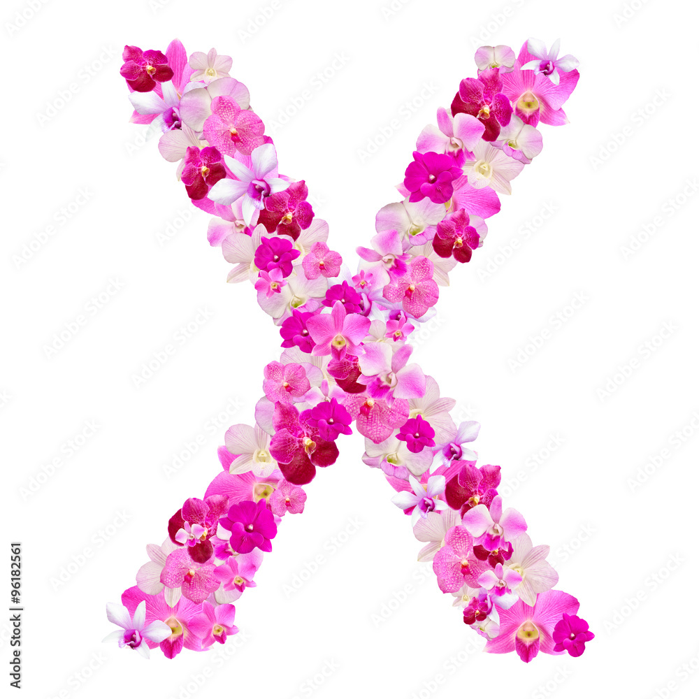 Letter X from orchid flowers isolated on white with working path