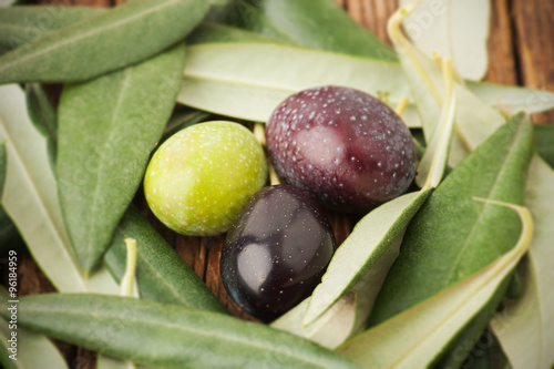 Tre olive tra foglie di ulivo