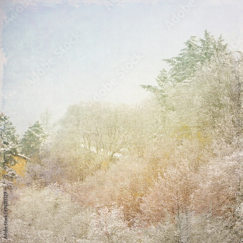 Landscape of snow-covered trees photo