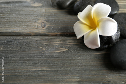 White plumeria flower with pebbles on wooden background