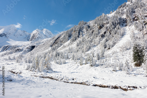 verschneiter Winterwald im Hochtal