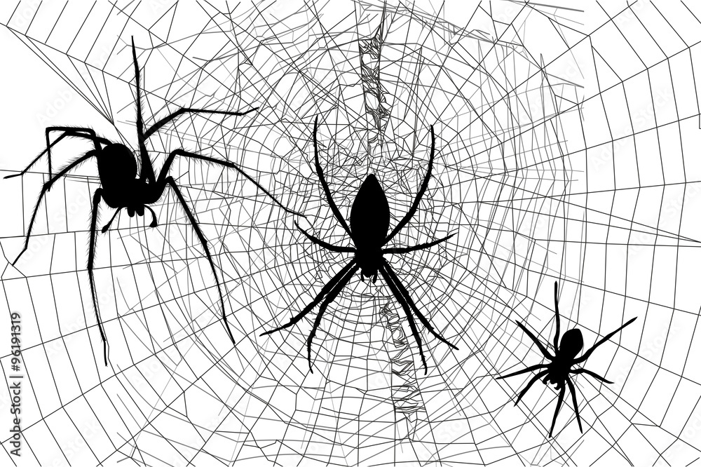 Obraz premium silhouettes spiders and spider web
