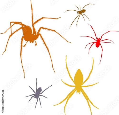 set of colored silhouettes spiders