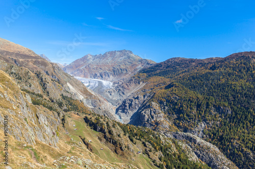 Autumn view of Aletsch glacier and Eggishorn