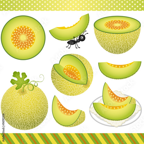 Cantaloupe Melon Digital Clipart
