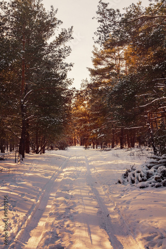 Sunset in winter forest