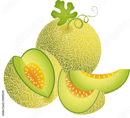 Juicy Cantaloupe Melon
