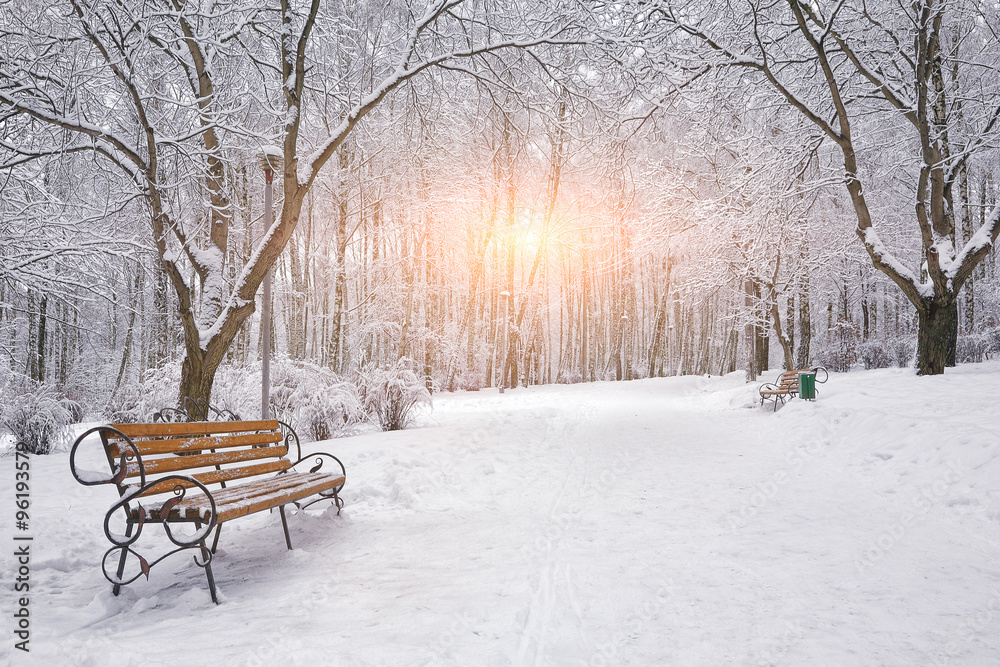 Obraz premium Snow-covered trees and benches in the city park