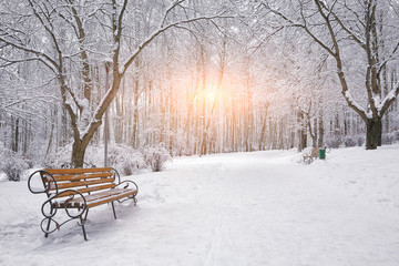 Tableau sur plexiglas Hiver Parc urbain sous neige fraîche  © pilat666