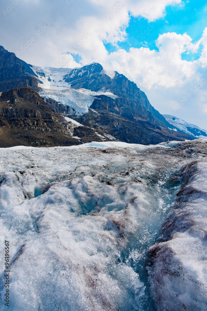 Obraz premium summer view of Columbia ice field, Jasper national Park, Canada