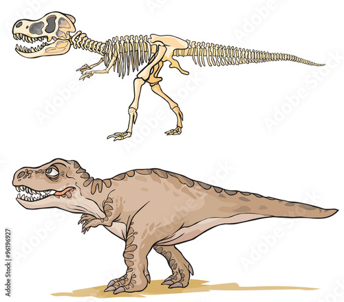 Dinosaur T-Rex. Cartoon image as a skeleton and flesh.
