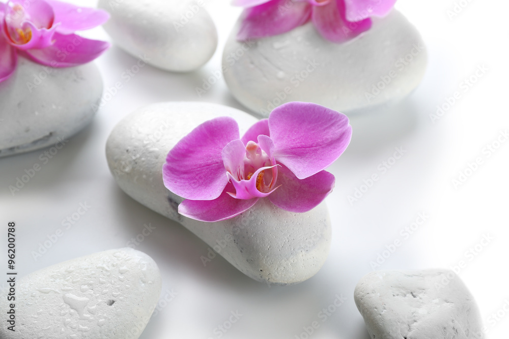 White spa stones and orchids isolated on white White spa stones and orchids isolated on white