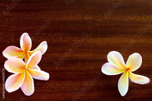 Frangipani Flower On Wooden Table 