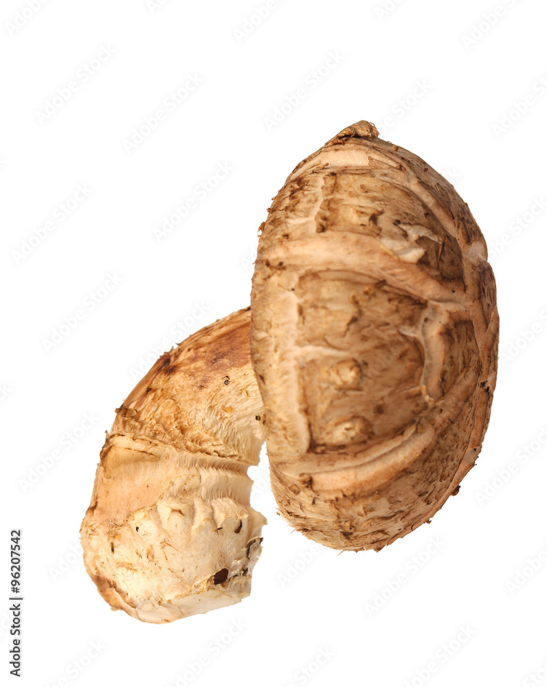 Shiitake mushroom on the White background Shiitake mushroom on the White background