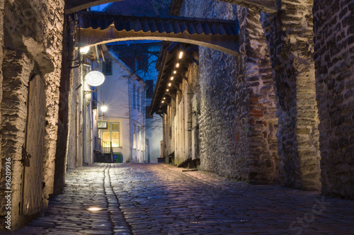 Katariina kaik (St. Catherine's Passage) - half-hidden walkway in old town of Tallinn © alexpolo