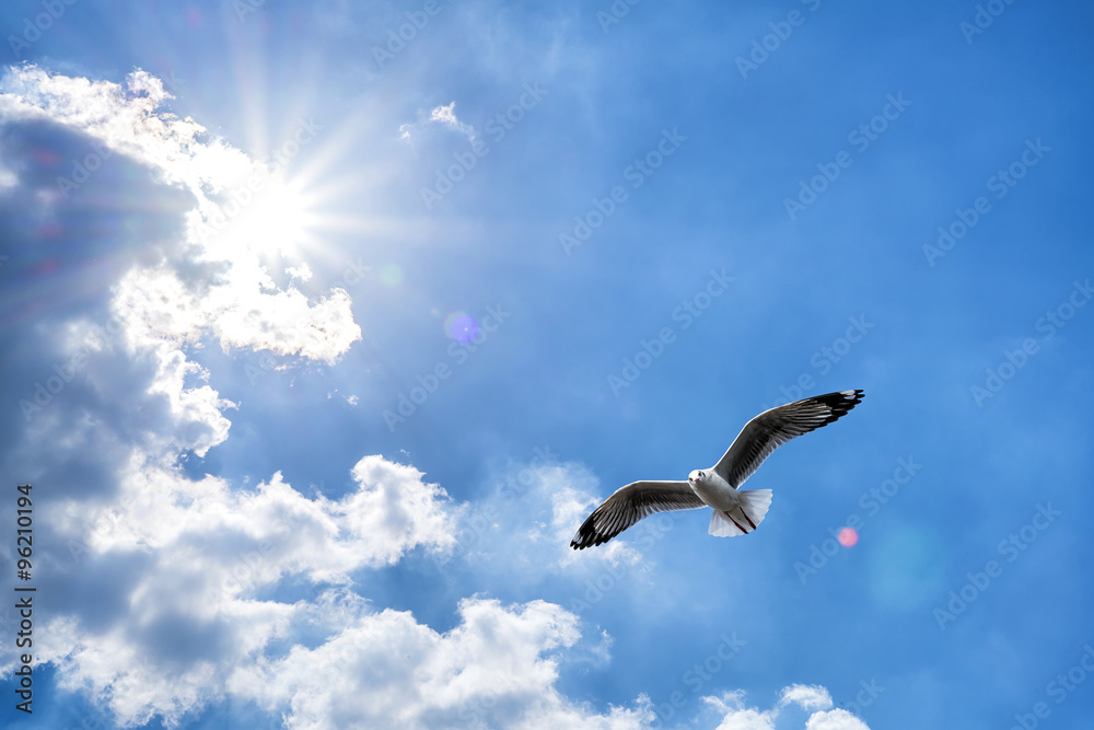 Naklejka premium Seagull flying against blue cloudy sky with brilliant sun