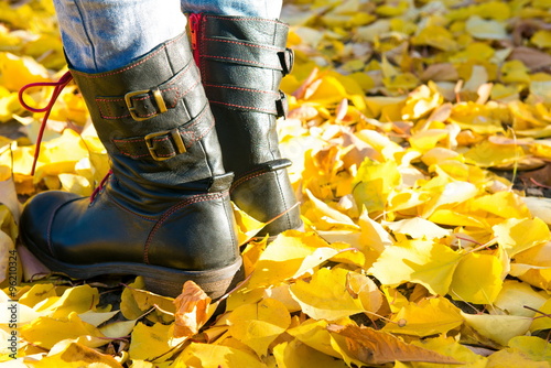 Woman walking on a street full of dead leaves during Autumn. Feet on the yellow leaves. walk on the foliage. shoes with yellow leaves 