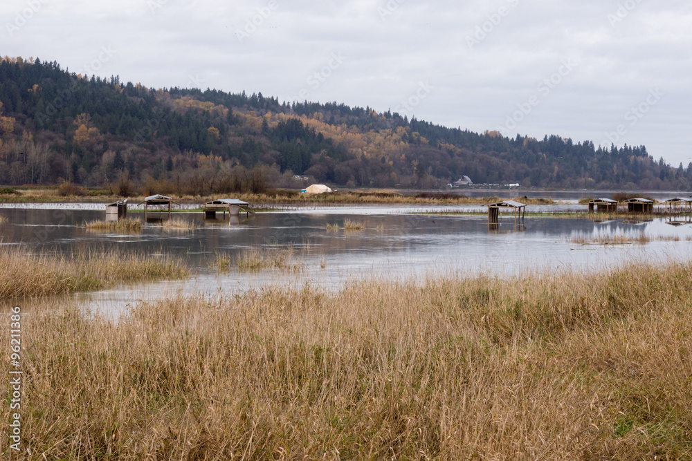 Snoqualmie river floods near the city of Duvall, WA - farmlands and roads under water