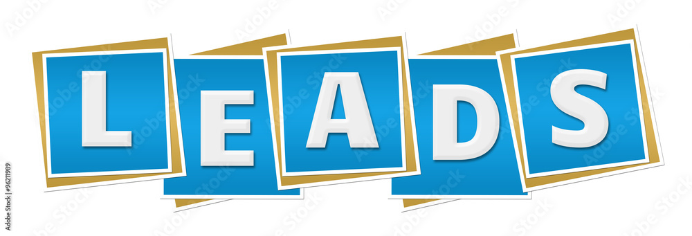 Leads Blue Blocks Leads Blue Blocks