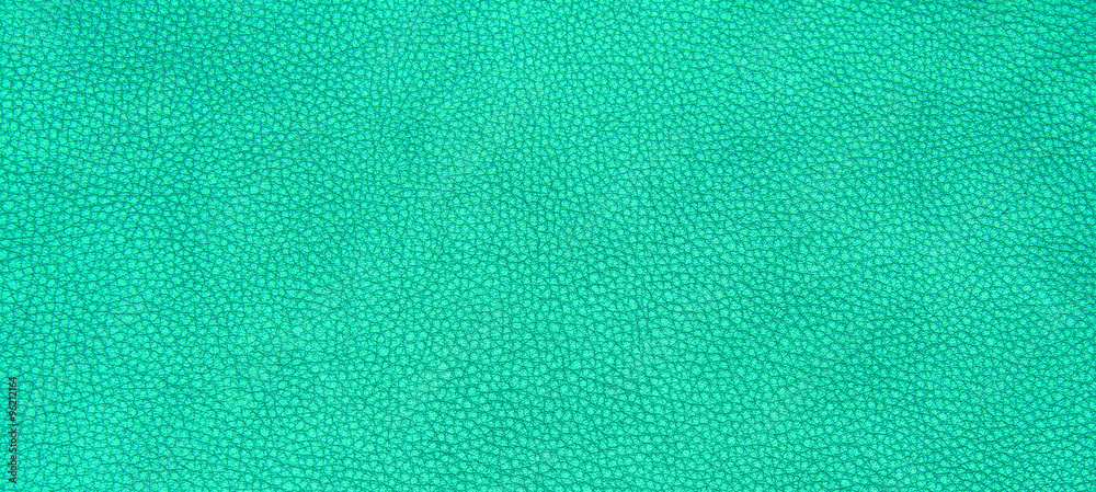 Fototapeta premium Leather green texture