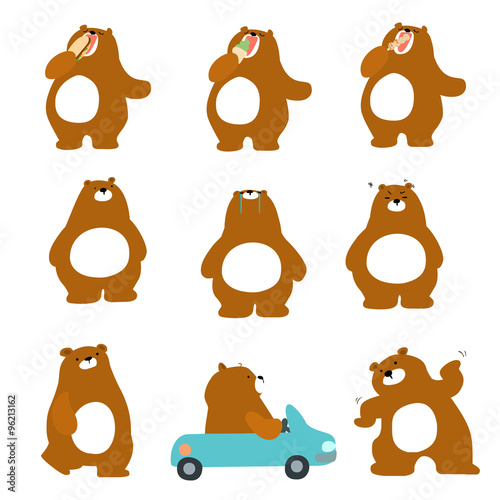 cute character brown bear variety action pack vector