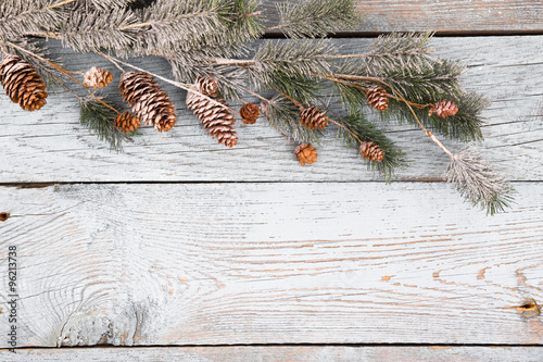 Christmas background with fir branches