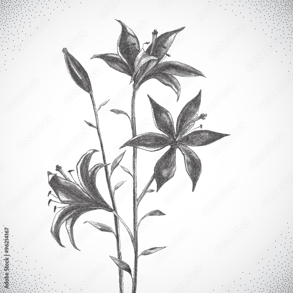 Flower. Black and white Dotwork