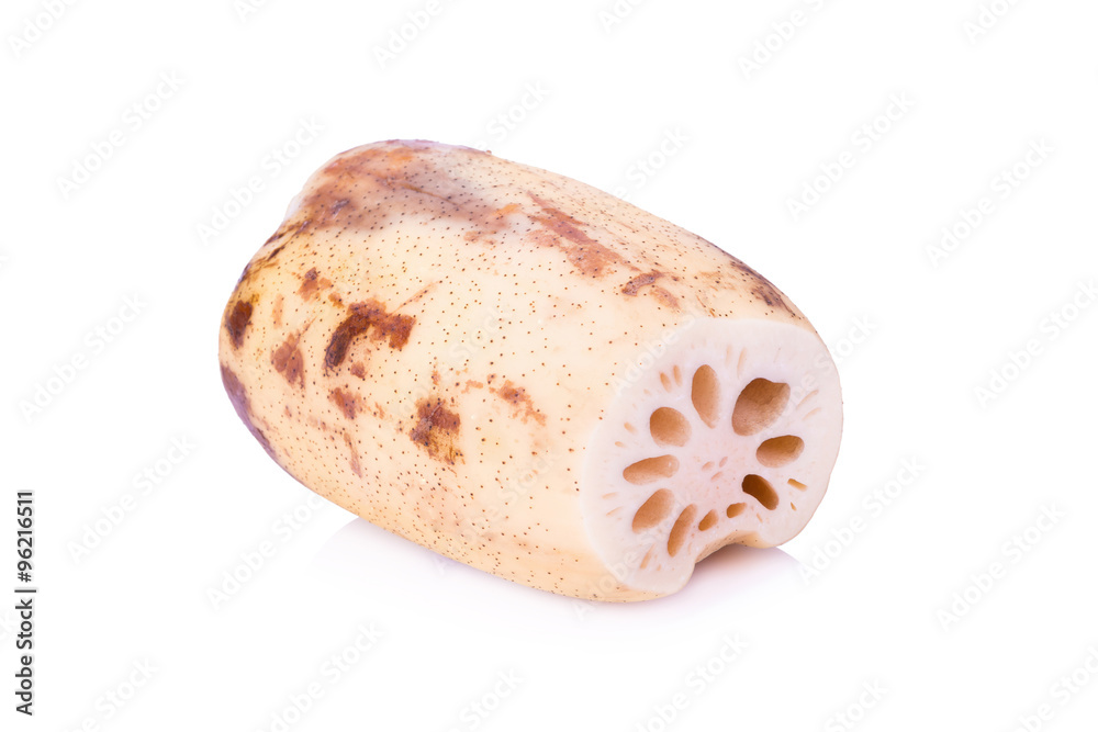 Lotus root on white background Lotus root on white background