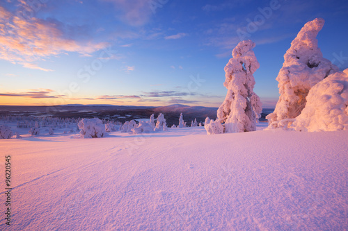 Sunset over frozen trees on a mountain, Levi, Finnish Lapland