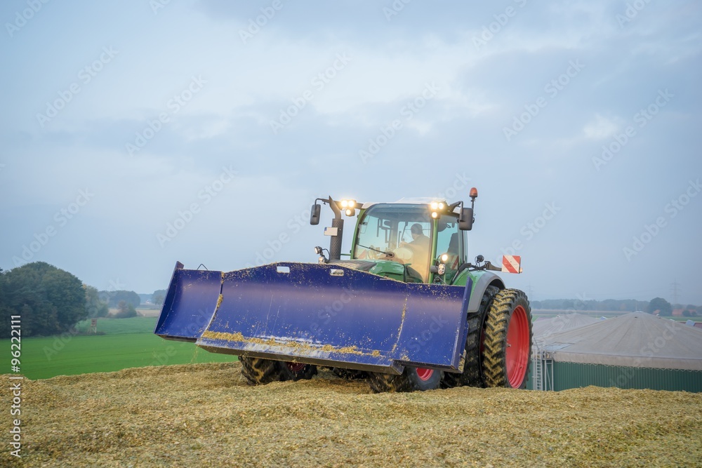 Fototapeta premium Traktor mit blauem Planierschild beim verdichten eines Maishaufens während der Dämmerung