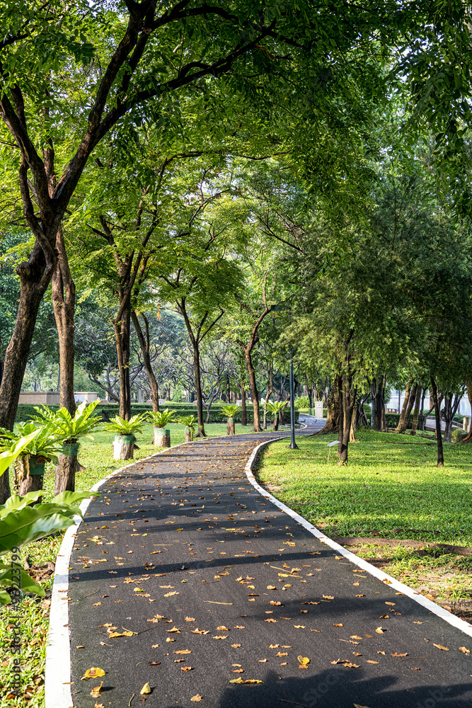 Pathway through a Beautiful Public Park in sunny day