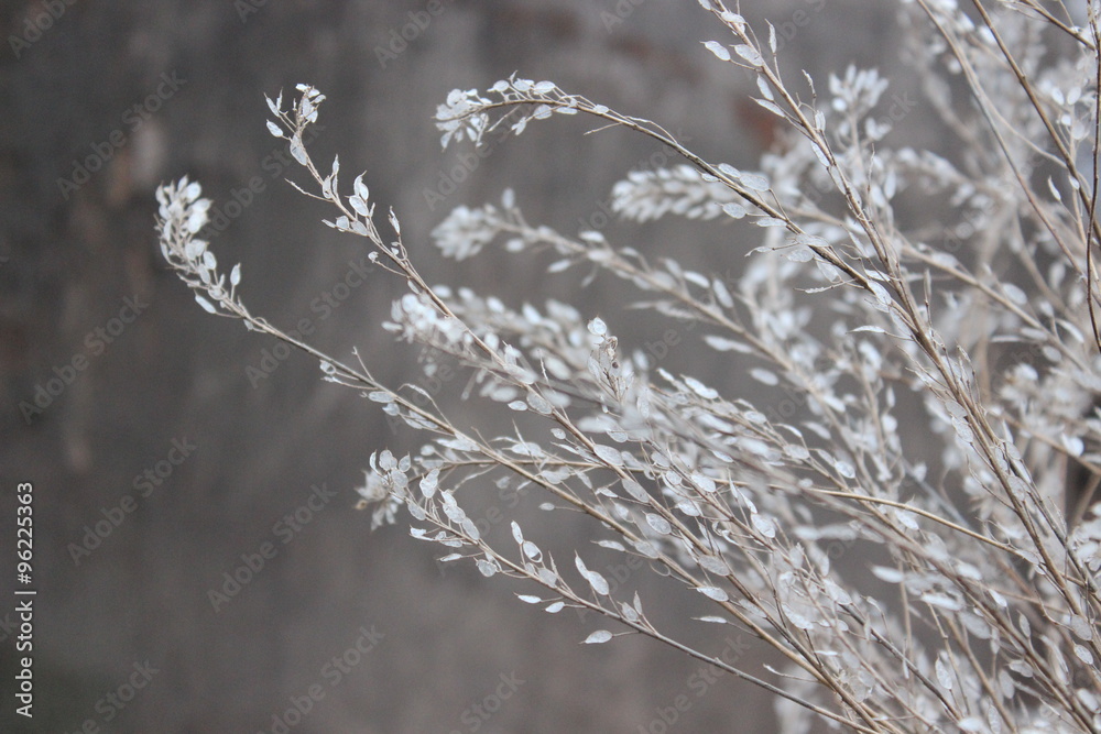 Dry twigs with leaves