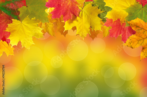 Autumn leaves frame over bright blurred nature for your text
