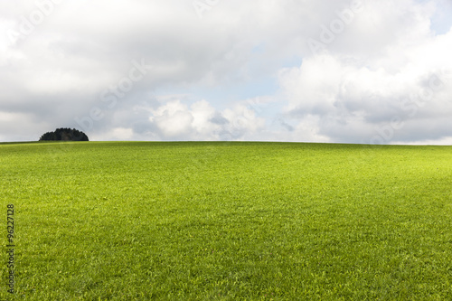 Wiese und Himmel