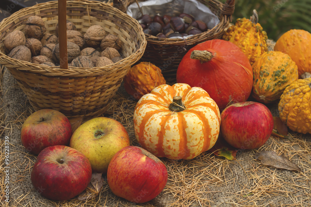wild apples, pumpkins and nuts wild apples, pumpkins and nuts