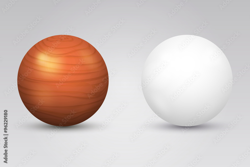 Realistic vector white ball and wooden sphere Realistic vector white ball and wooden sphere
