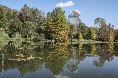 Fototapeta Naklejka Na Ścianę i Meble -  reflection of autumn trees on lake