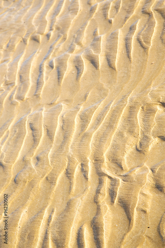 dune morocco in   near atlantic ocean